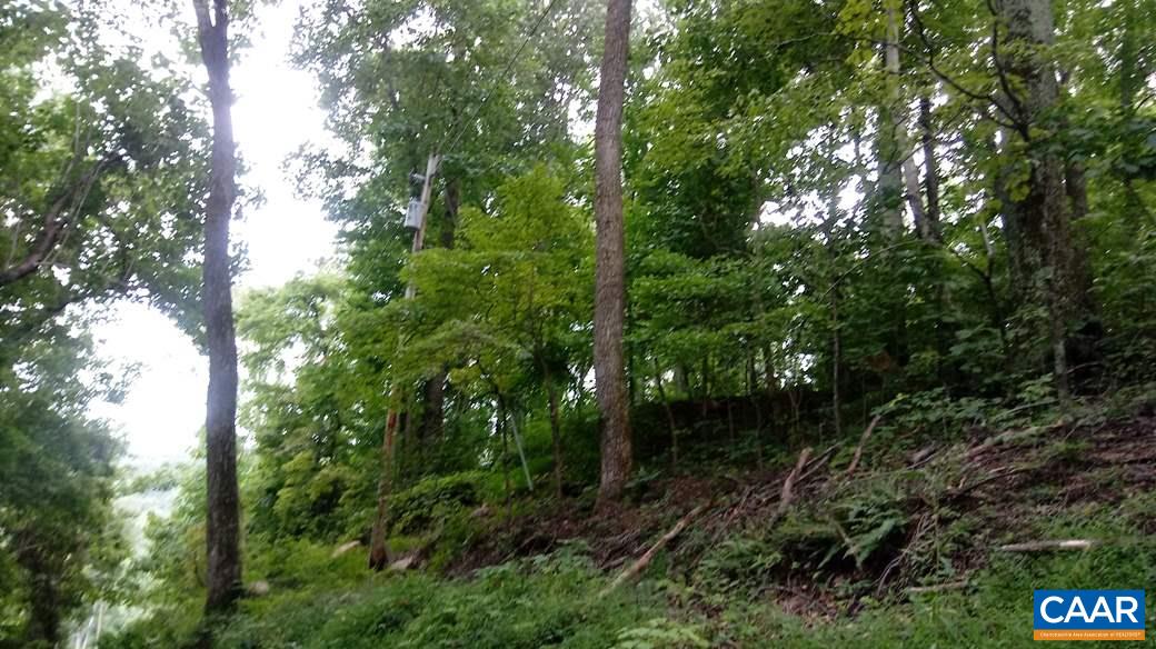 Lot 24 Top Ridge Road Stanardsville, VA 22973 - Photo 10 of 21 a view of outdoor space and trees