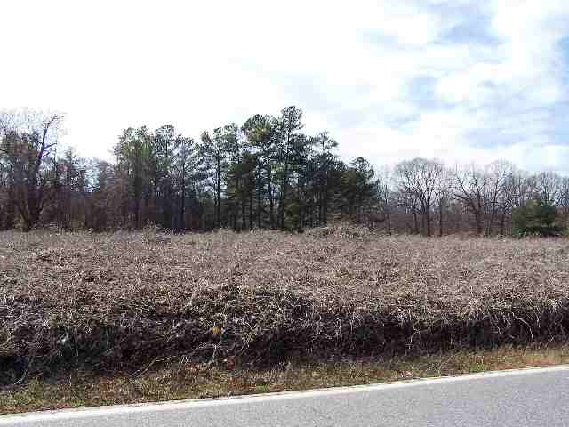 25-acres Flat Rock Road Iva, SC 29655 - Photo 1 of 1