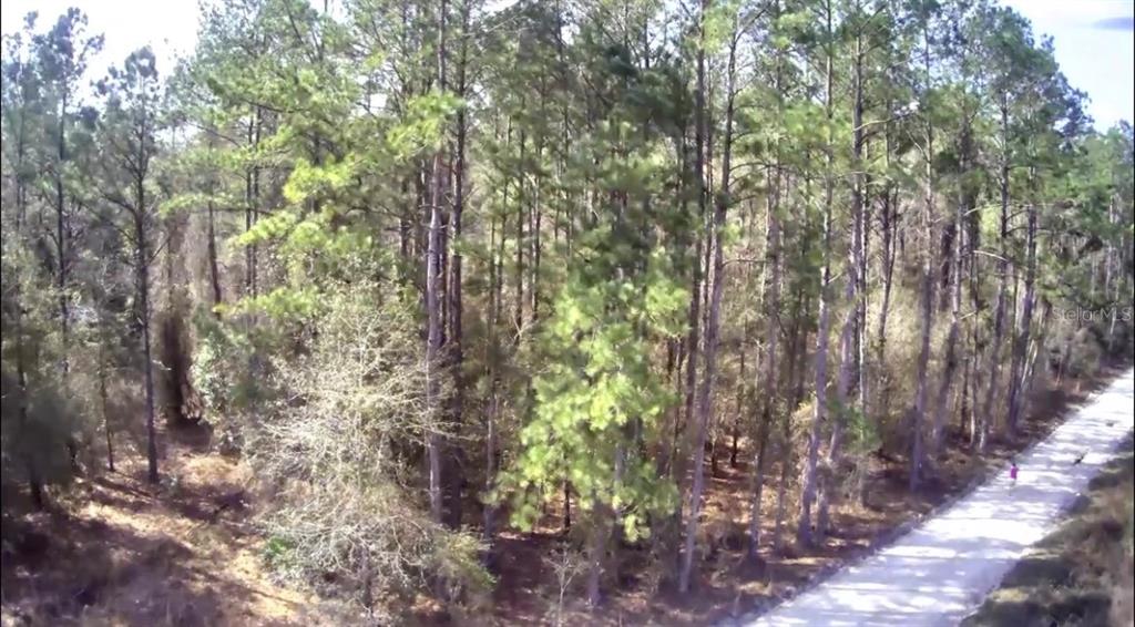 Northeast Holly Road Branford, FL 32008 - Photo 1 of 1 Gallery Image 1