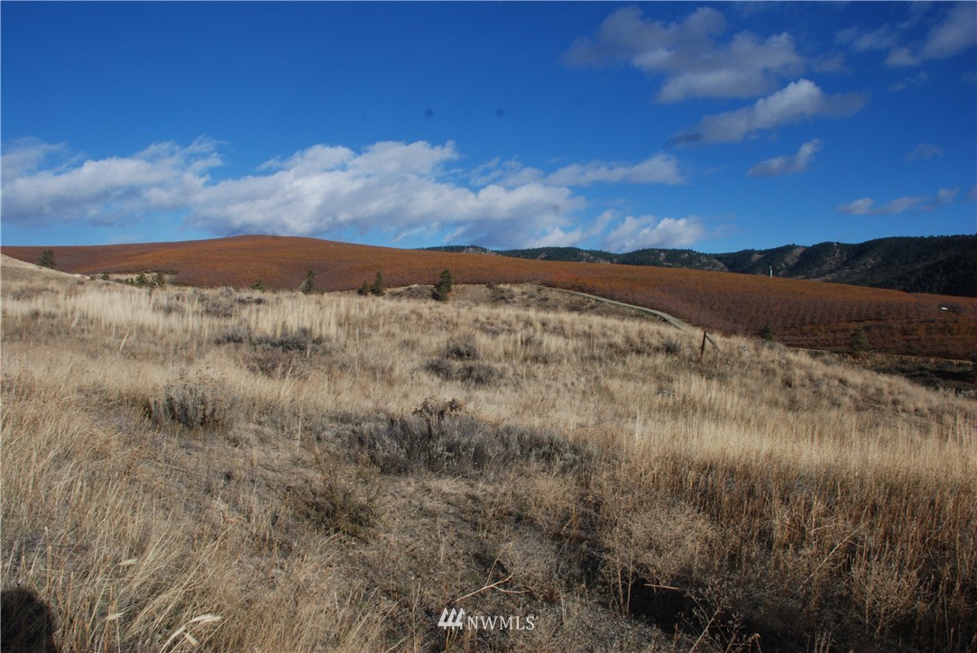 244 Boyd Loop Road Manson, WA 98831 - Photo 12 of 15 Gallery Image 12