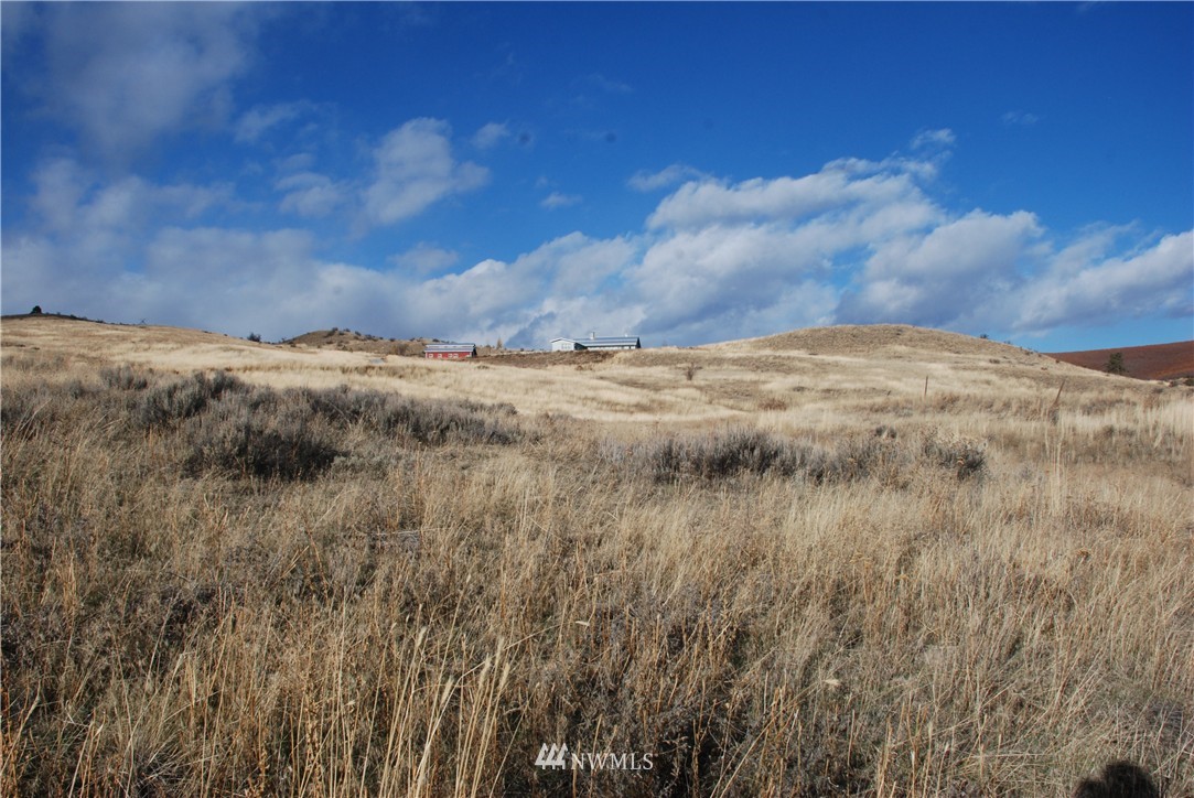 244 Boyd Loop Road Manson, WA 98831 - Photo 13 of 15 Gallery Image 13