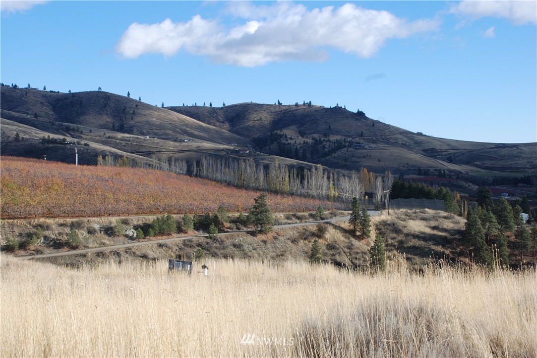 244 Boyd Loop Road Manson, WA 98831 - Photo 5 of 15 Gallery Image 5