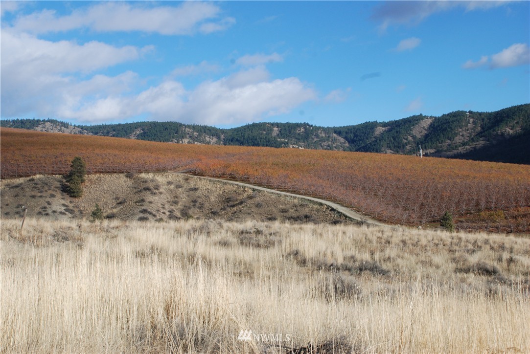 244 Boyd Loop Road Manson, WA 98831 - Photo 6 of 15 Gallery Image 6