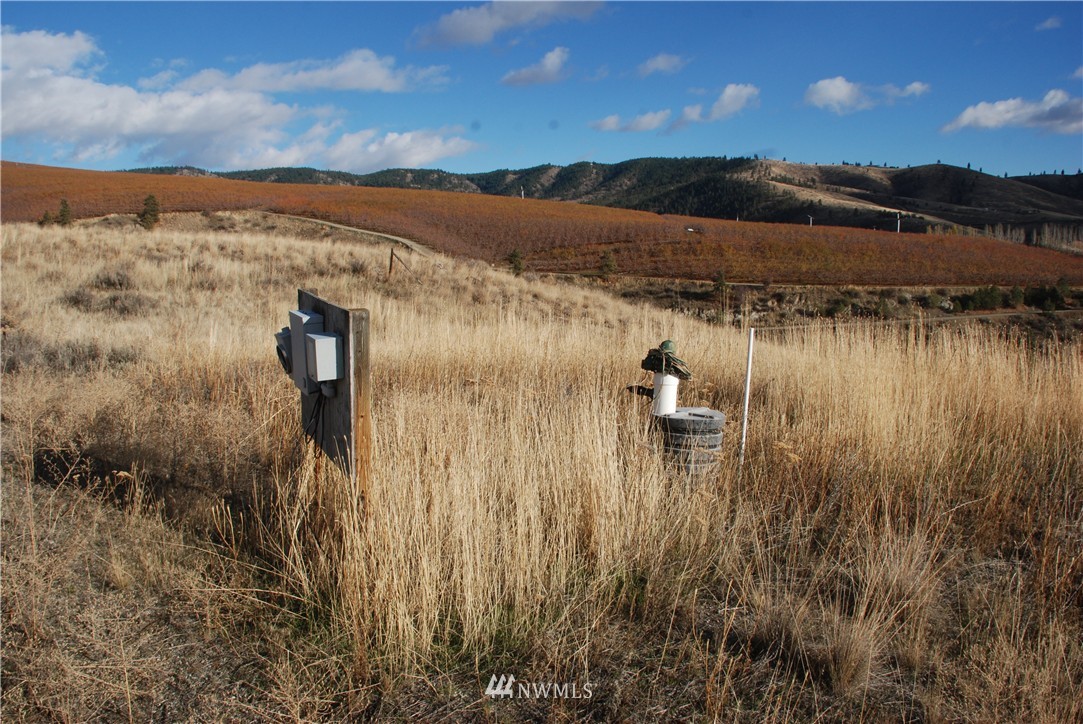 244 Boyd Loop Road Manson, WA 98831 - Photo 10 of 15 Gallery Image 10