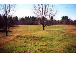262 Wild Meadow Road Grafton, NH 03741 - Photo 2 of 2 Gallery Image 2
