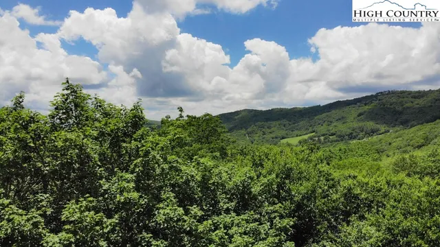 a view of a bunch of trees