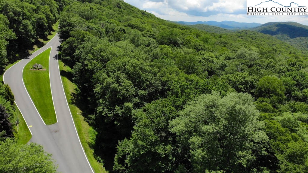 1715 Forest Ridge Drive, Unit 17 Linville, NC 28646 - Photo 3 of 6 a view of a yard with plants