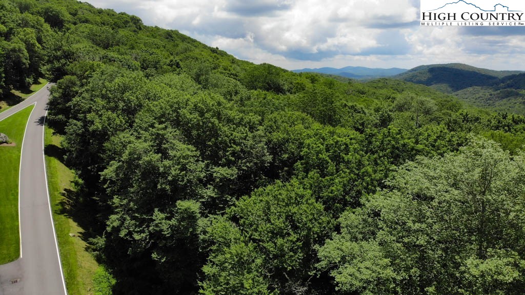 1715 Forest Ridge Drive, Unit 17 Linville, NC 28646 - Photo 4 of 6 a view of a bunch of trees and bushes