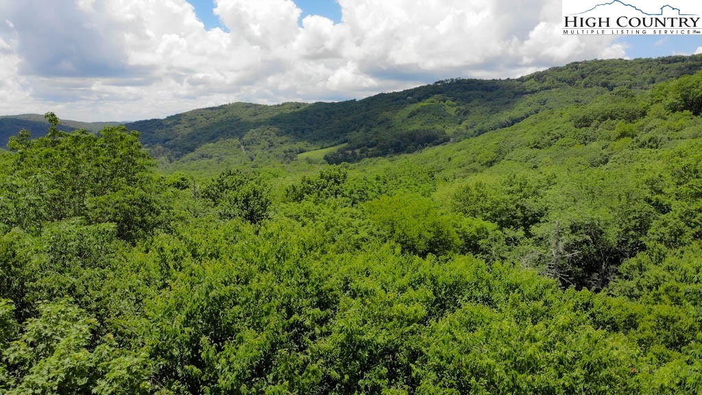 1715 Forest Ridge Drive, Unit 17 Linville, NC 28646 - Photo 6 of 6 a view of a field with a street sign