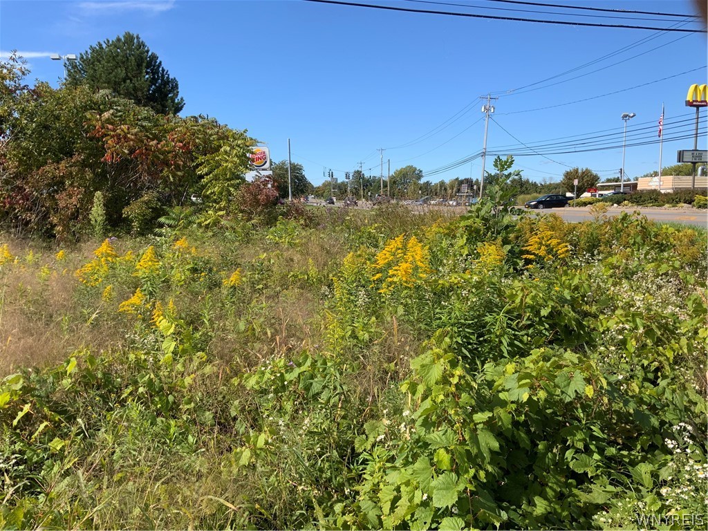 11216 Maple Ridge Road Shelby, NY 14103 - Photo 1 of 17