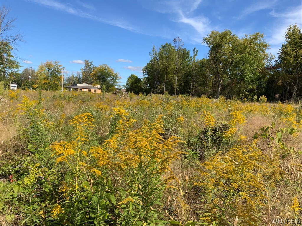 11216 Maple Ridge Road Shelby, NY 14103 - Photo 11 of 17