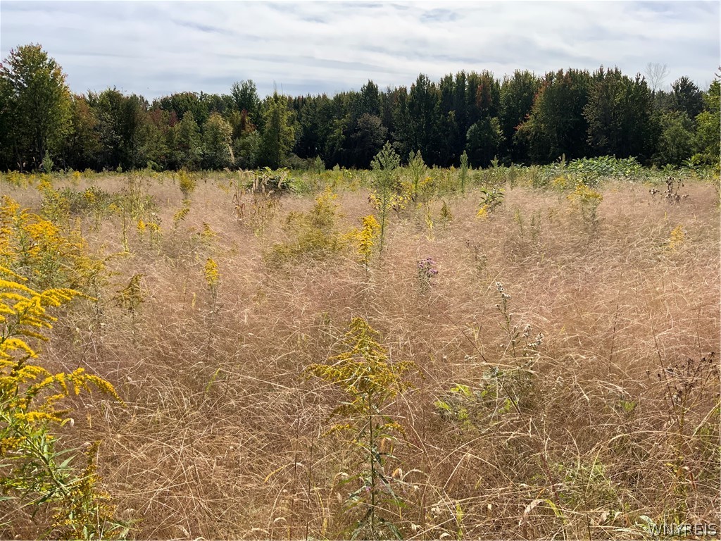 11216 Maple Ridge Road Shelby, NY 14103 - Photo 12 of 17