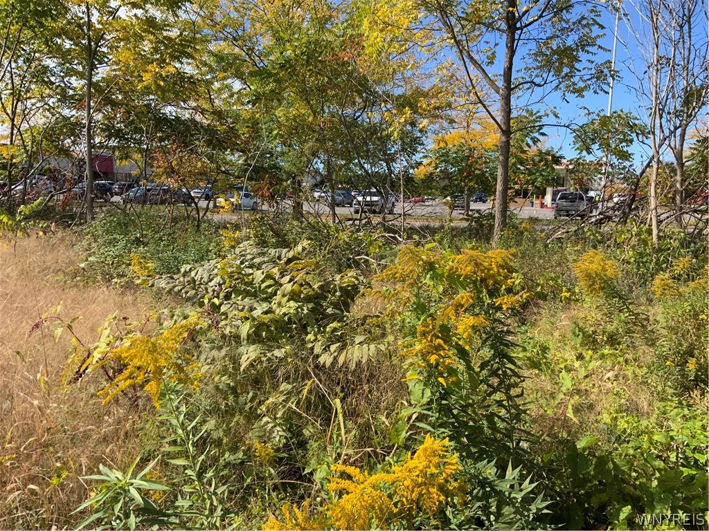 11216 Maple Ridge Road Shelby, NY 14103 - Photo 13 of 17