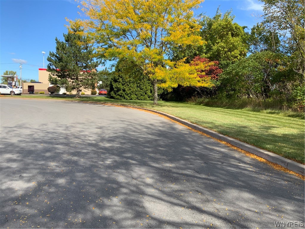 11216 Maple Ridge Road Shelby, NY 14103 - Photo 17 of 17