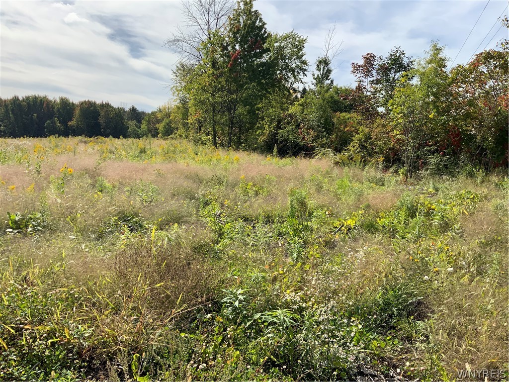 11216 Maple Ridge Road Shelby, NY 14103 - Photo 2 of 17