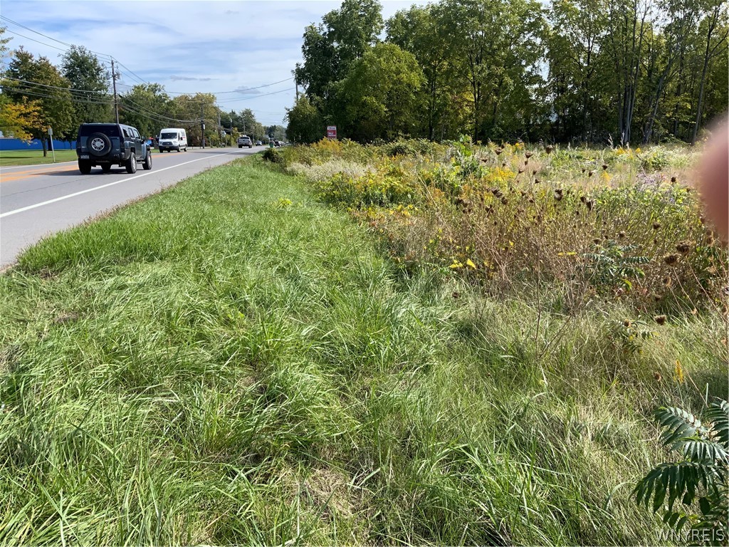 11216 Maple Ridge Road Shelby, NY 14103 - Photo 3 of 17