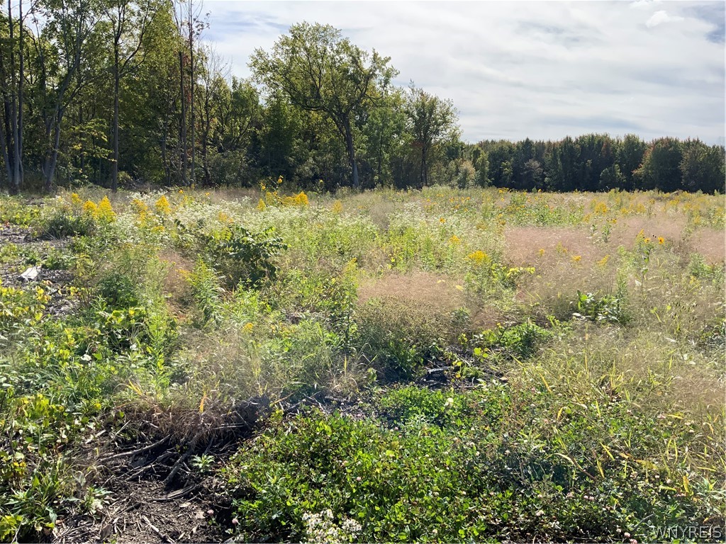 11216 Maple Ridge Road Shelby, NY 14103 - Photo 4 of 17