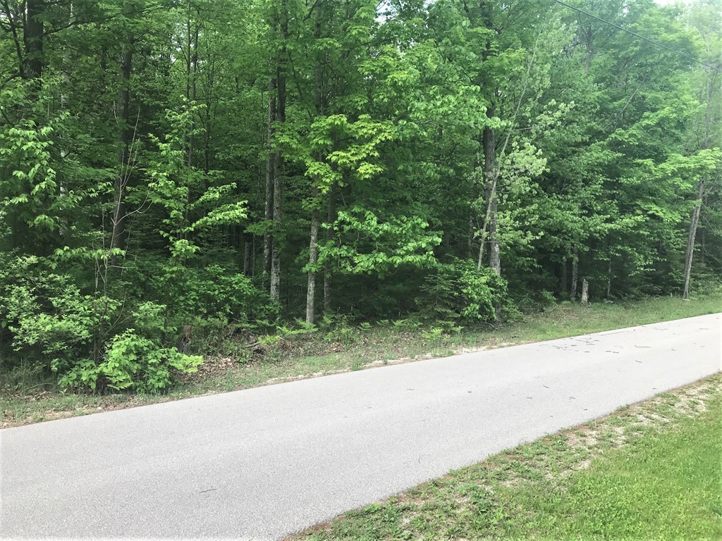 Spring Court Fish Creek, WI 54212 - Photo 2 of 9