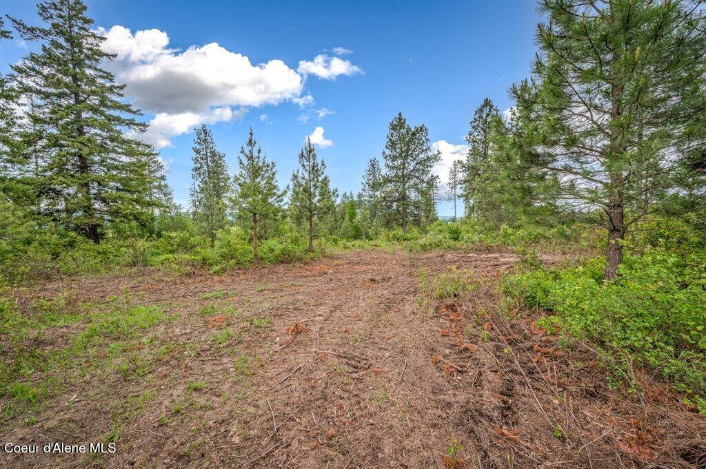 1 Freedom Way Road Plummer, ID 83851 - Photo 32 of 34 --43.jpg-SMALL