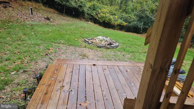 a view of a backyard with plants and trees