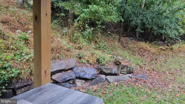 a view of a yard with trees