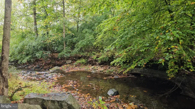 a view of a park with large trees