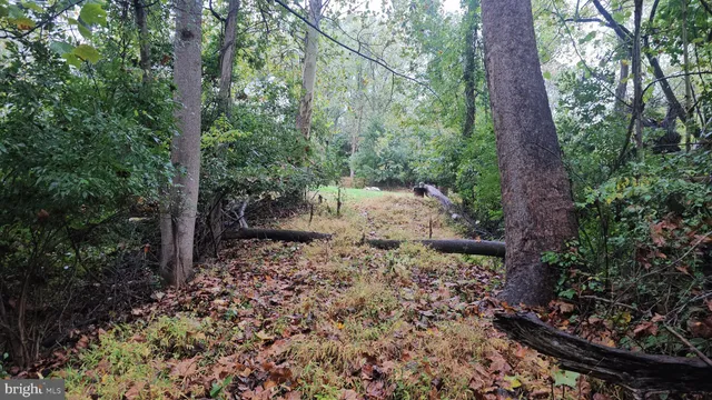 a view of a backyard of the house