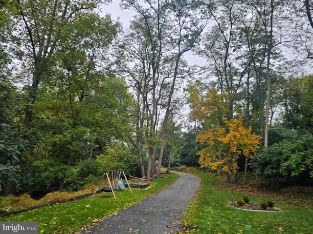a view of a yard with plants