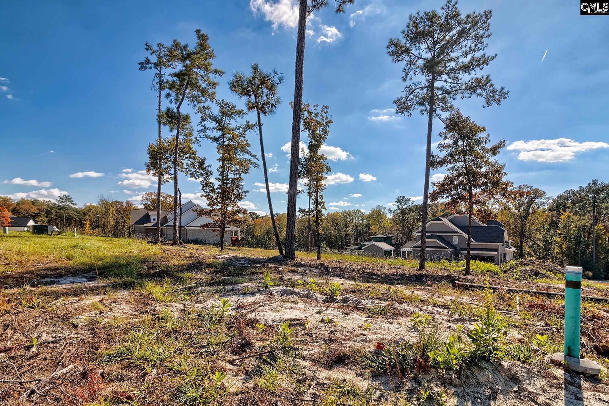 183 Coopers Nursery Road Elgin, SC 29045 - Photo 1 of 14