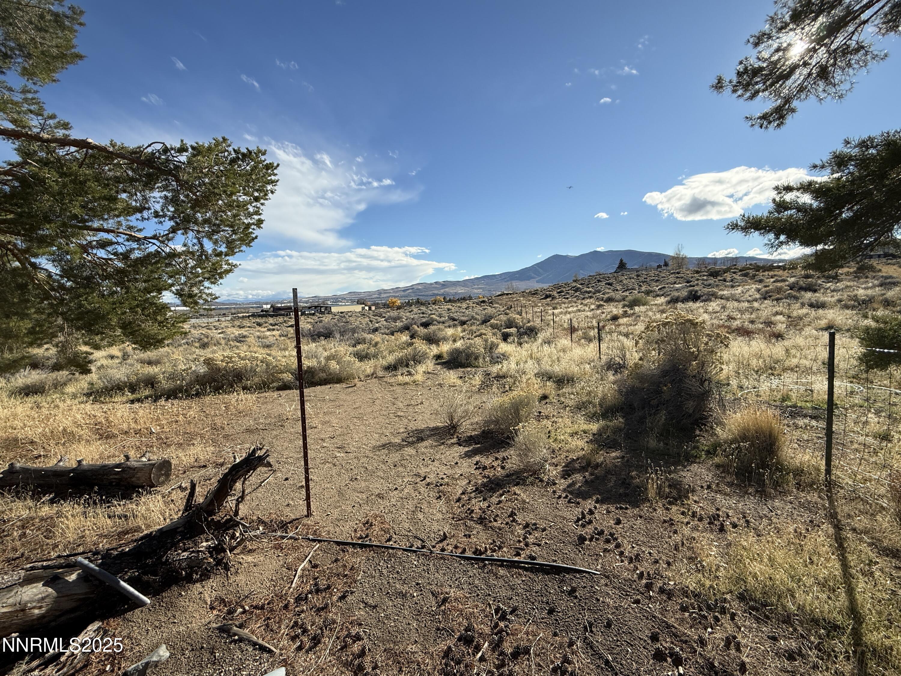 10160 Blackhawk Drive Reno, NV 89508 - Photo 12 of 43 a view of a yard