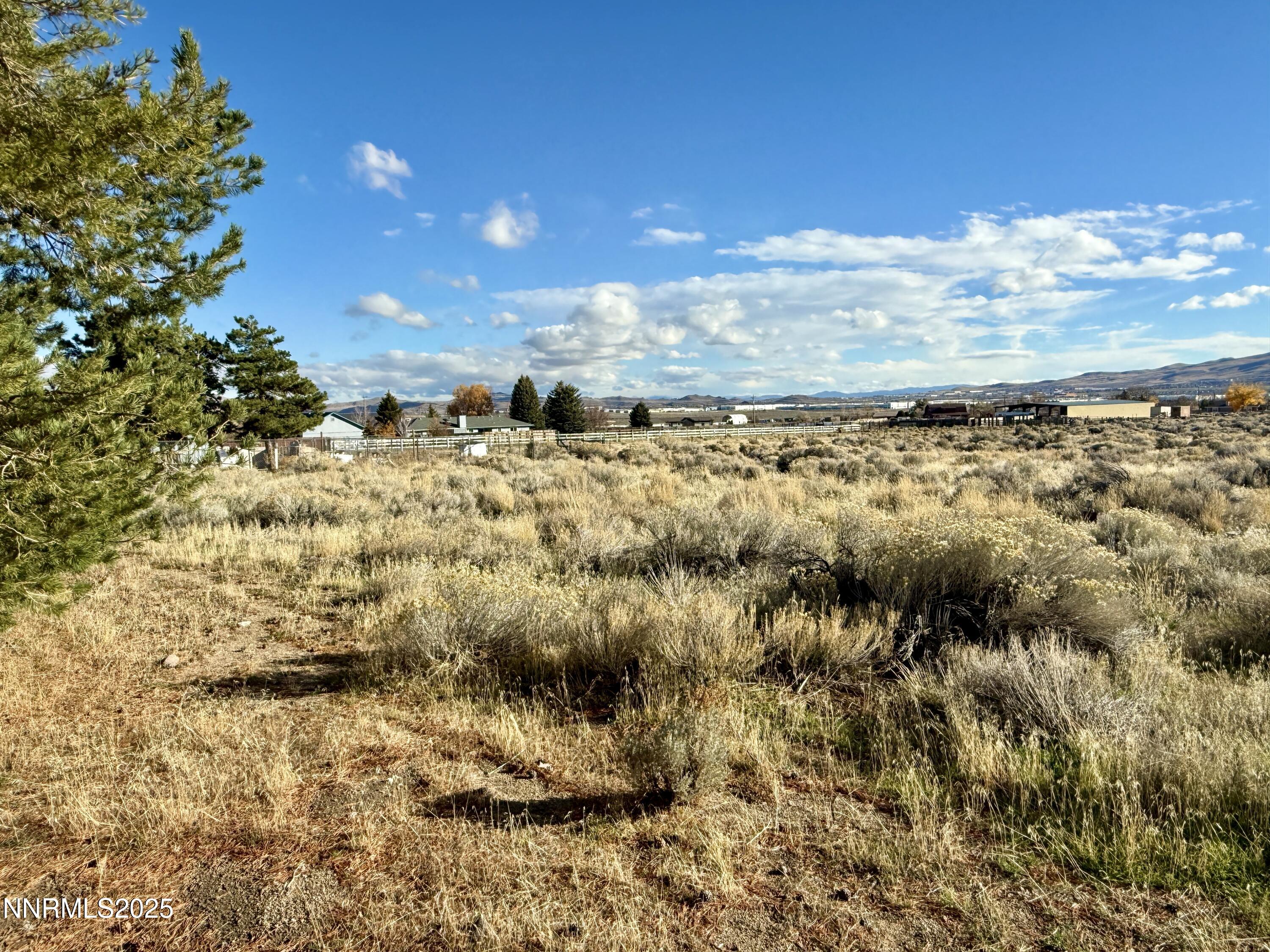 10160 Blackhawk Drive Reno, NV 89508 - Photo 9 of 43 a view of a yard with wooden fence