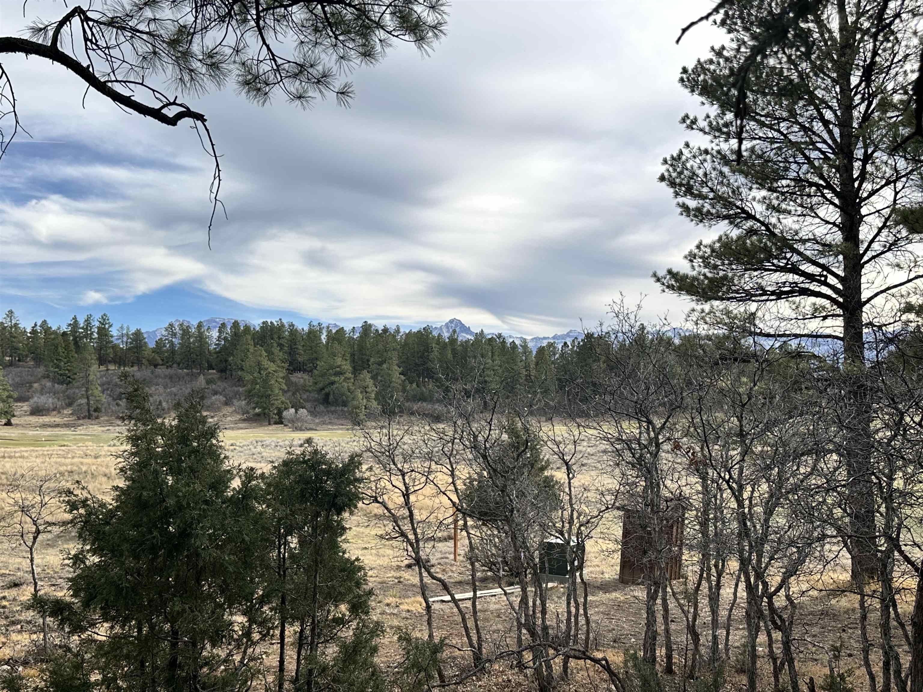 46 Marmot Drive Ridgway, CO 81432 - Photo 10 of 13