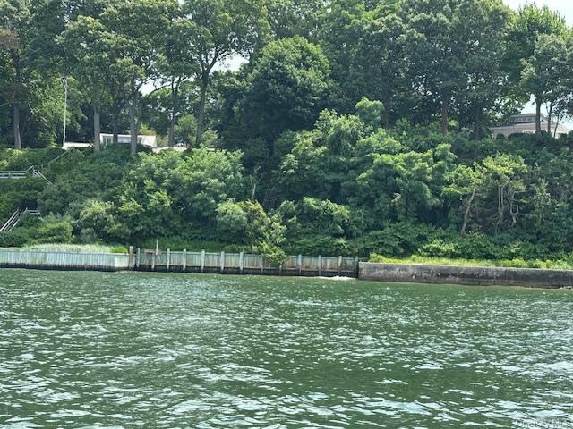 9 Mariners Court Centerport, NY 11721 - Photo 37 of 40 a view of a yard with plants and large trees