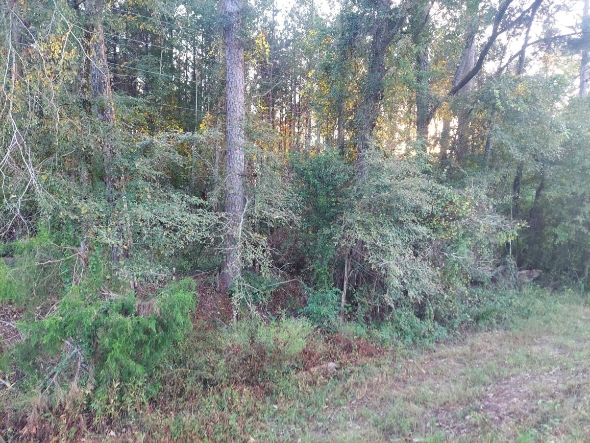 0 Clary Cut Road Harlem, GA 30814 - Photo 2 of 4 Clary 3