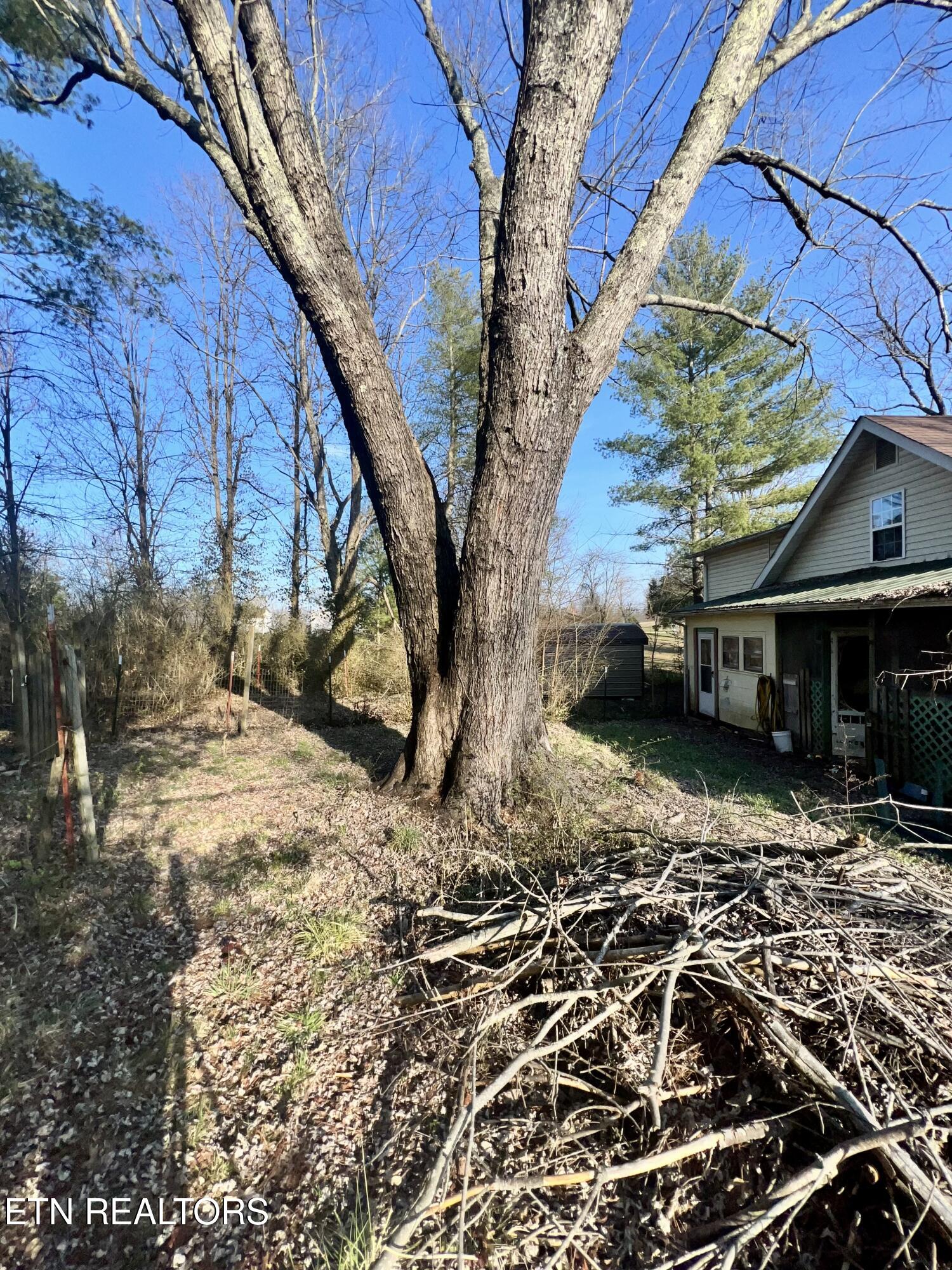 426 Rosedale Avenue Jamestown, TN 38556 - Photo 22 of 22 IMG_0027