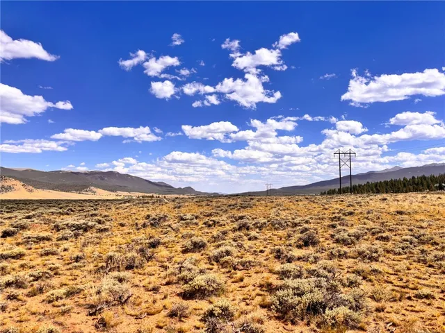 a view of a pathway with a tree in the background