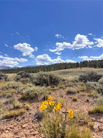 a view of a bunch of a lake