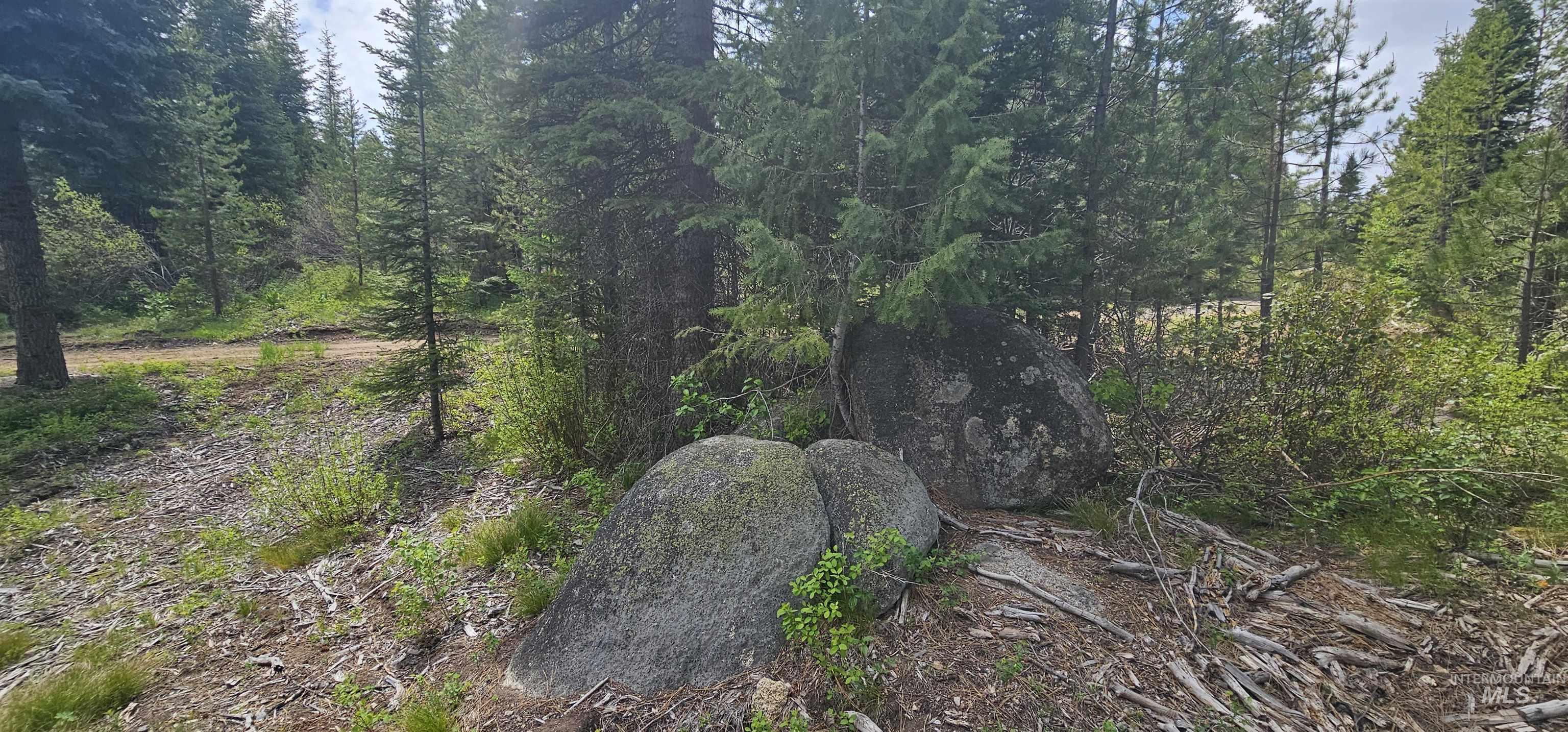 23 Sawtooth Loop Cascade, ID 83611 - Photo 16 of 45