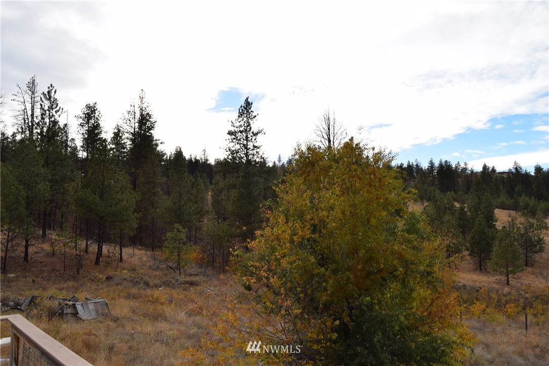 158 Reevas Basin Road Tonasket, WA 98855 - Photo 20 of 25 Gallery Image 20