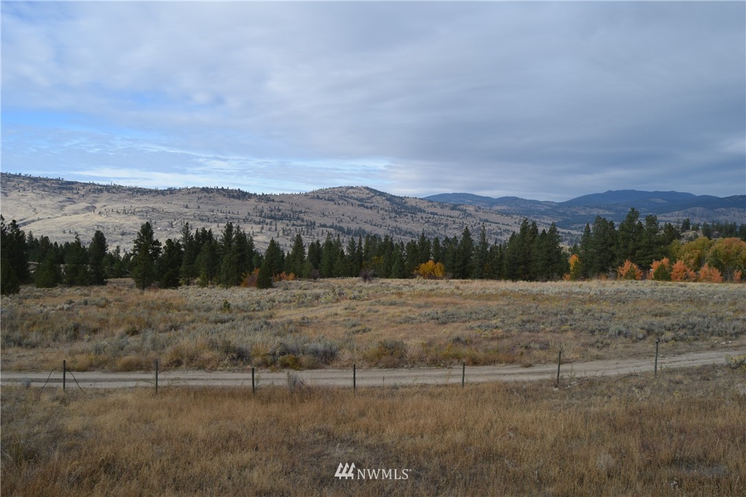 158 Reevas Basin Road Tonasket, WA 98855 - Photo 22 of 25 Gallery Image 22