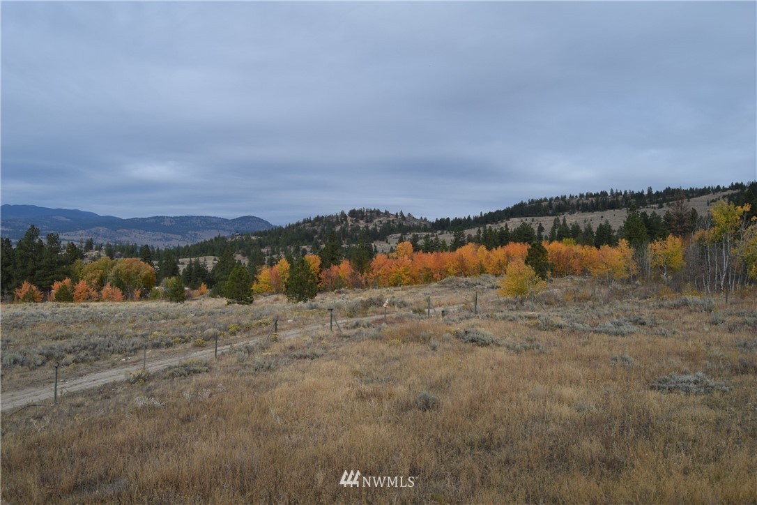 158 Reevas Basin Road Tonasket, WA 98855 - Photo 23 of 25 Gallery Image 23