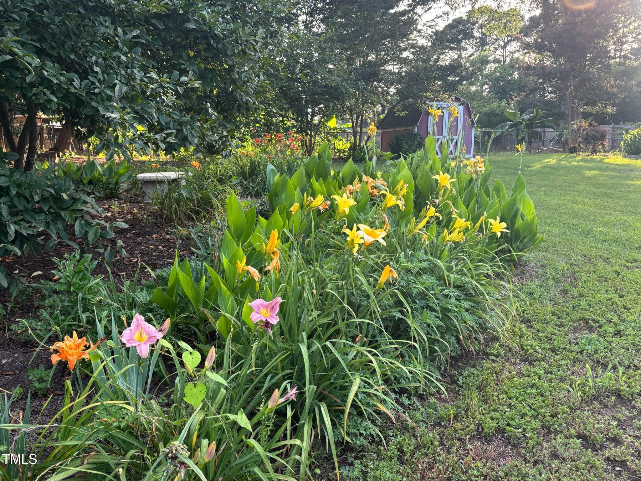 2413 Trawick Road Raleigh, NC 27604 - Photo 36 of 43 a picture of flowers