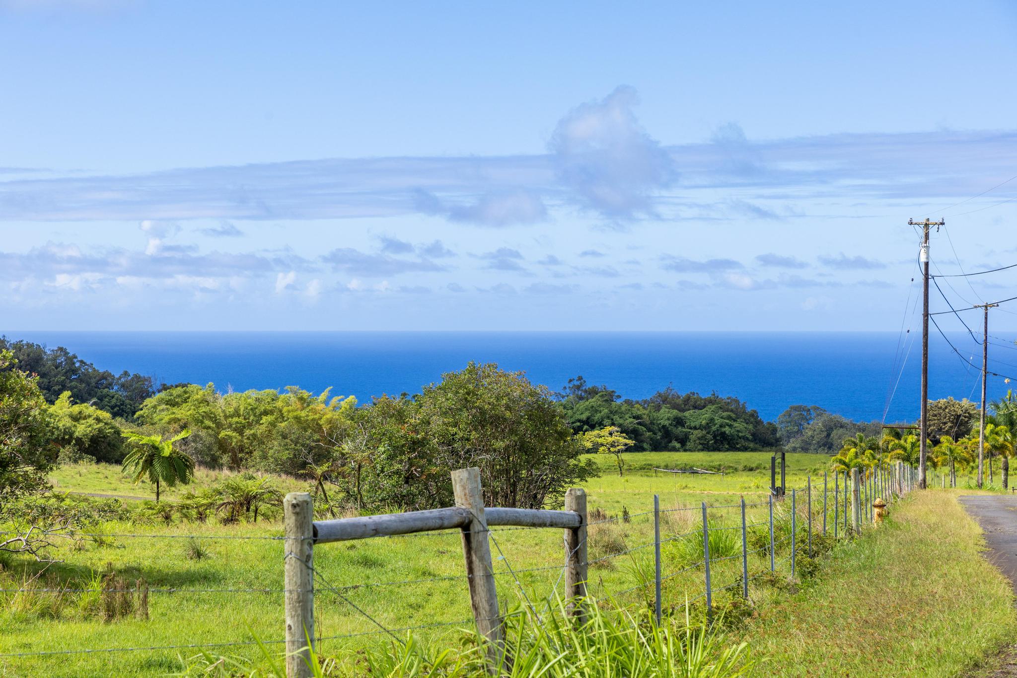 29-613 Lot Road Papaikou, HI 96781 - Photo 5 of 18
