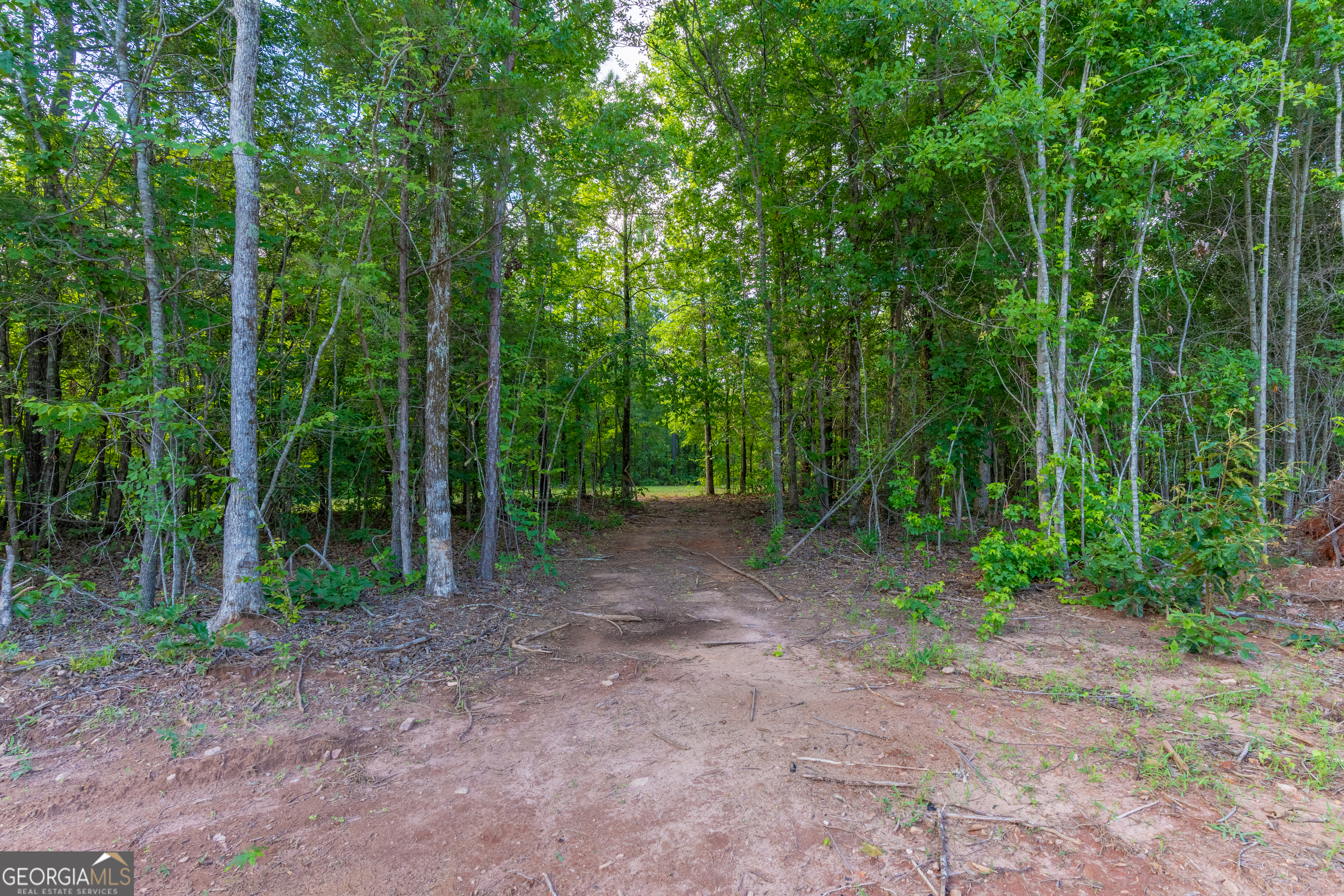 54 Davis Carter Road Monticello, GA 31064 - Photo 38 of 60