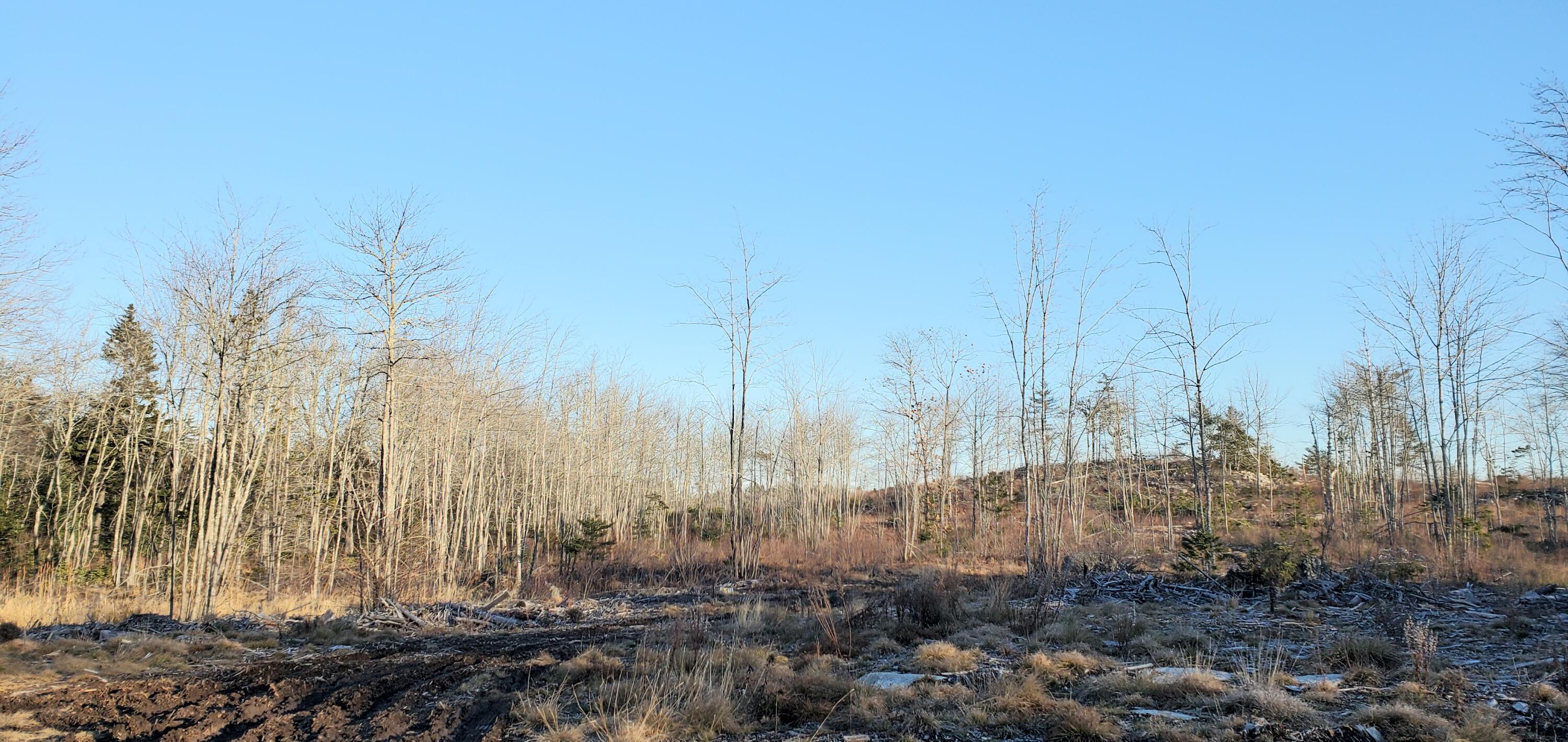 0 Salt Pond Road Cushing, ME 04563 - Photo 2 of 6 20211203_144920