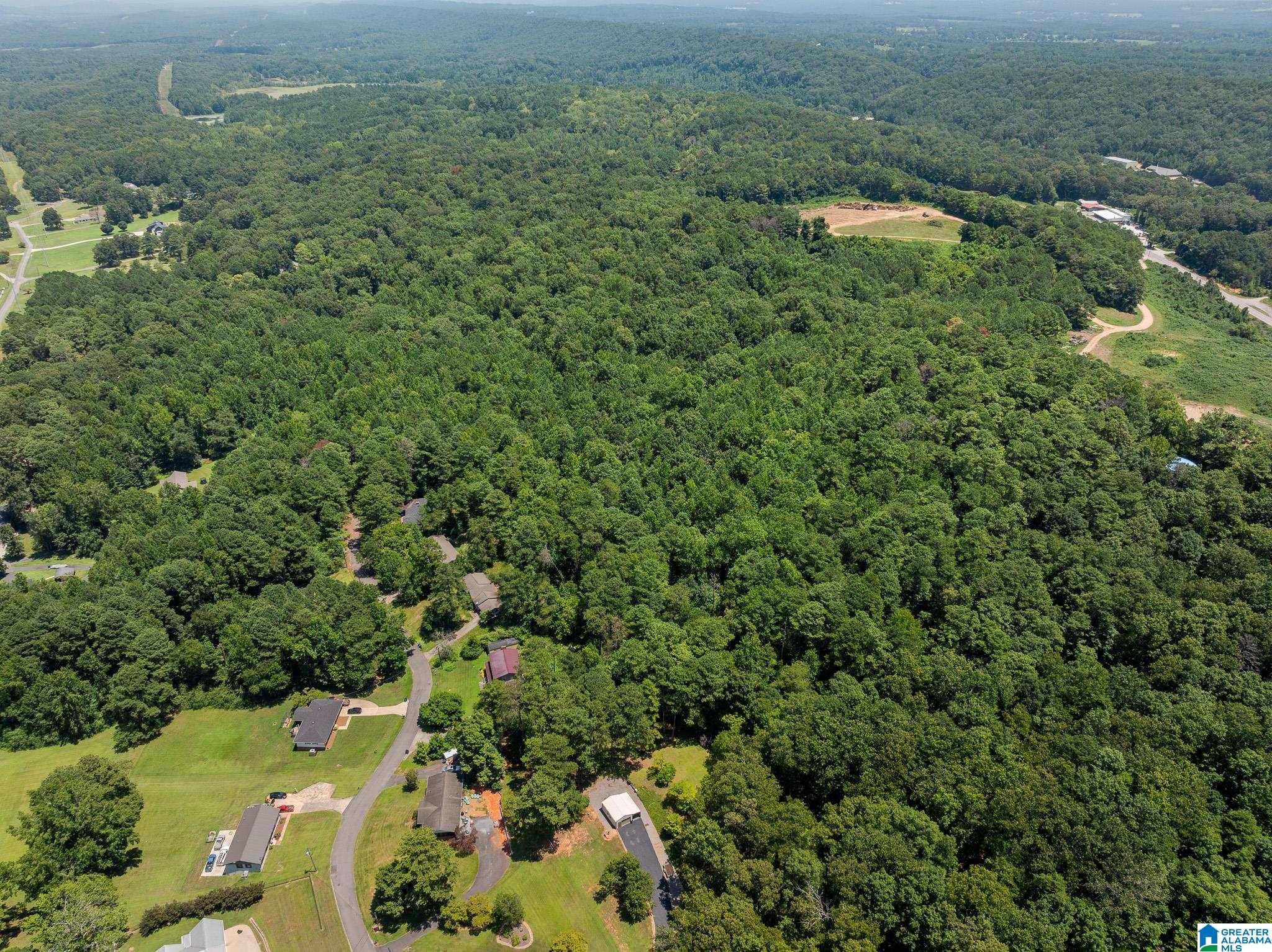 0 Sunshine Avenue Oneonta, AL 35121 - Photo 1 of 21