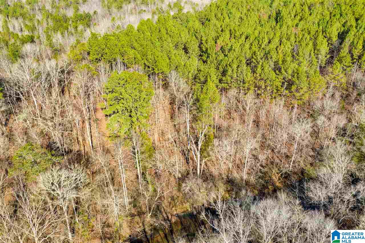 0 County Road 8, Unit 1 Clanton, AL 35045 - Photo 30 of 30