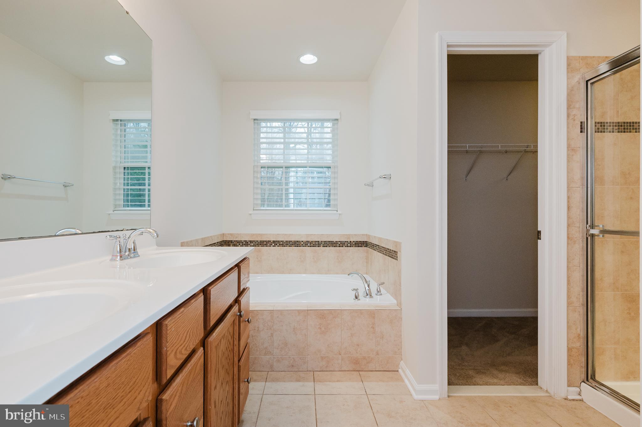 142 Cool Springs Road North East, MD 21901 - Photo 41 of 81 Primary Bathroom