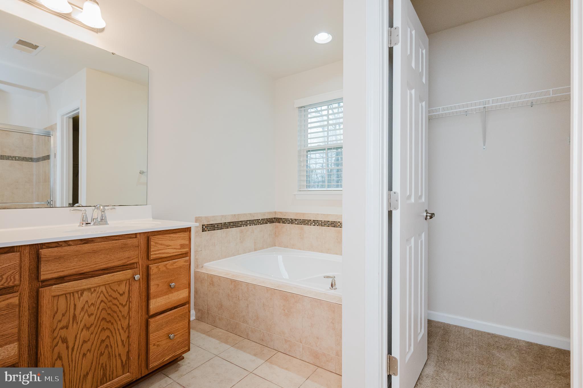 142 Cool Springs Road North East, MD 21901 - Photo 43 of 81 Primary Bathroom