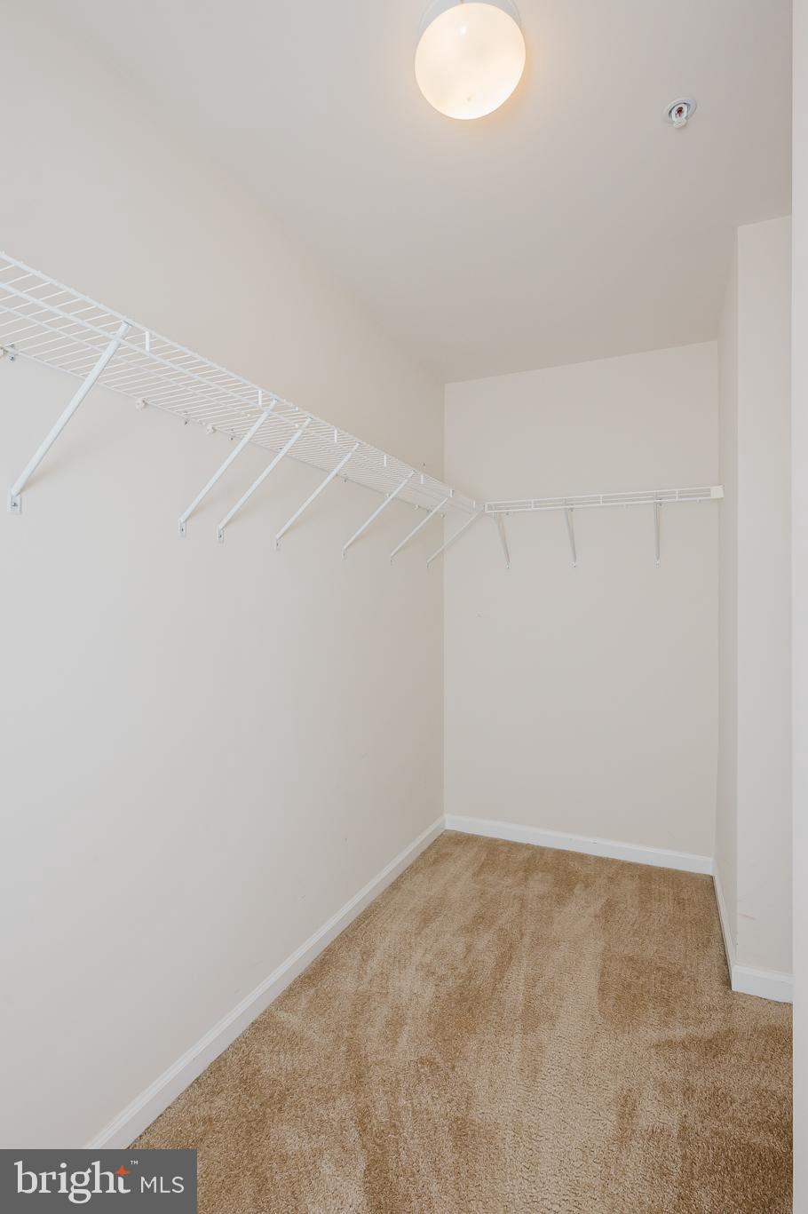 142 Cool Springs Road North East, MD 21901 - Photo 44 of 81 Primary Walk in Closet 12'x6'